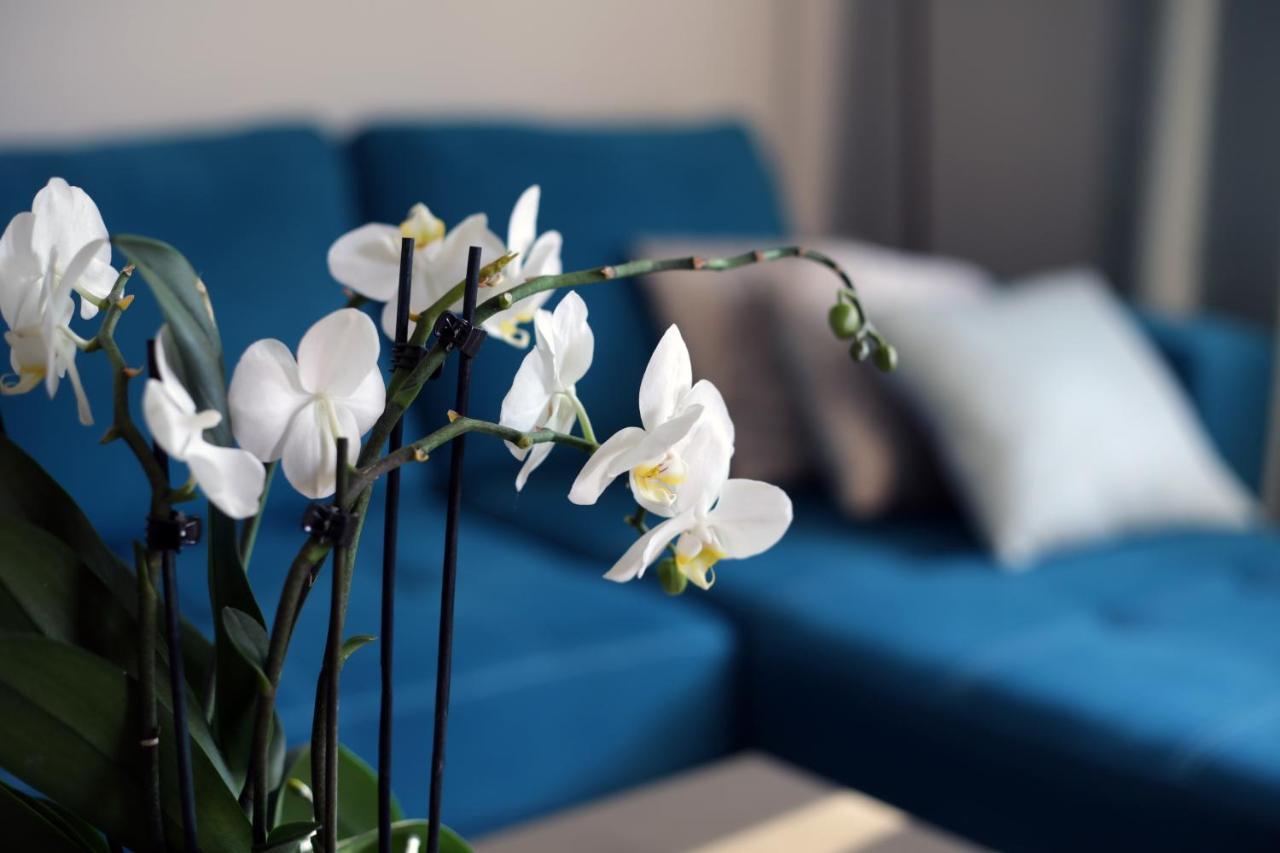 Apartament Turkus Шчечин Екстериор снимка